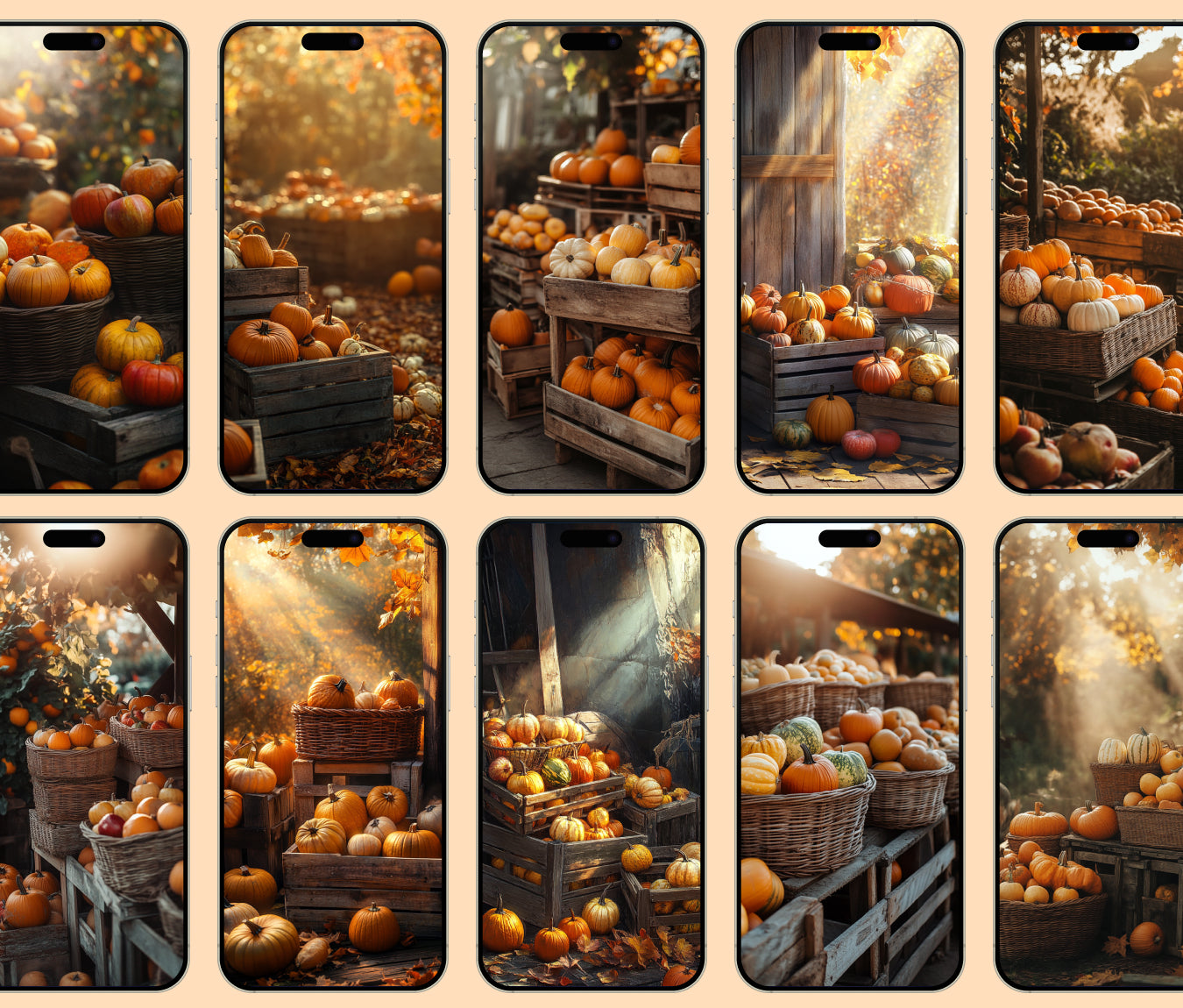 Harvest Bounty Wallpaper – Baskets of Pumpkins & Squash for iPhone