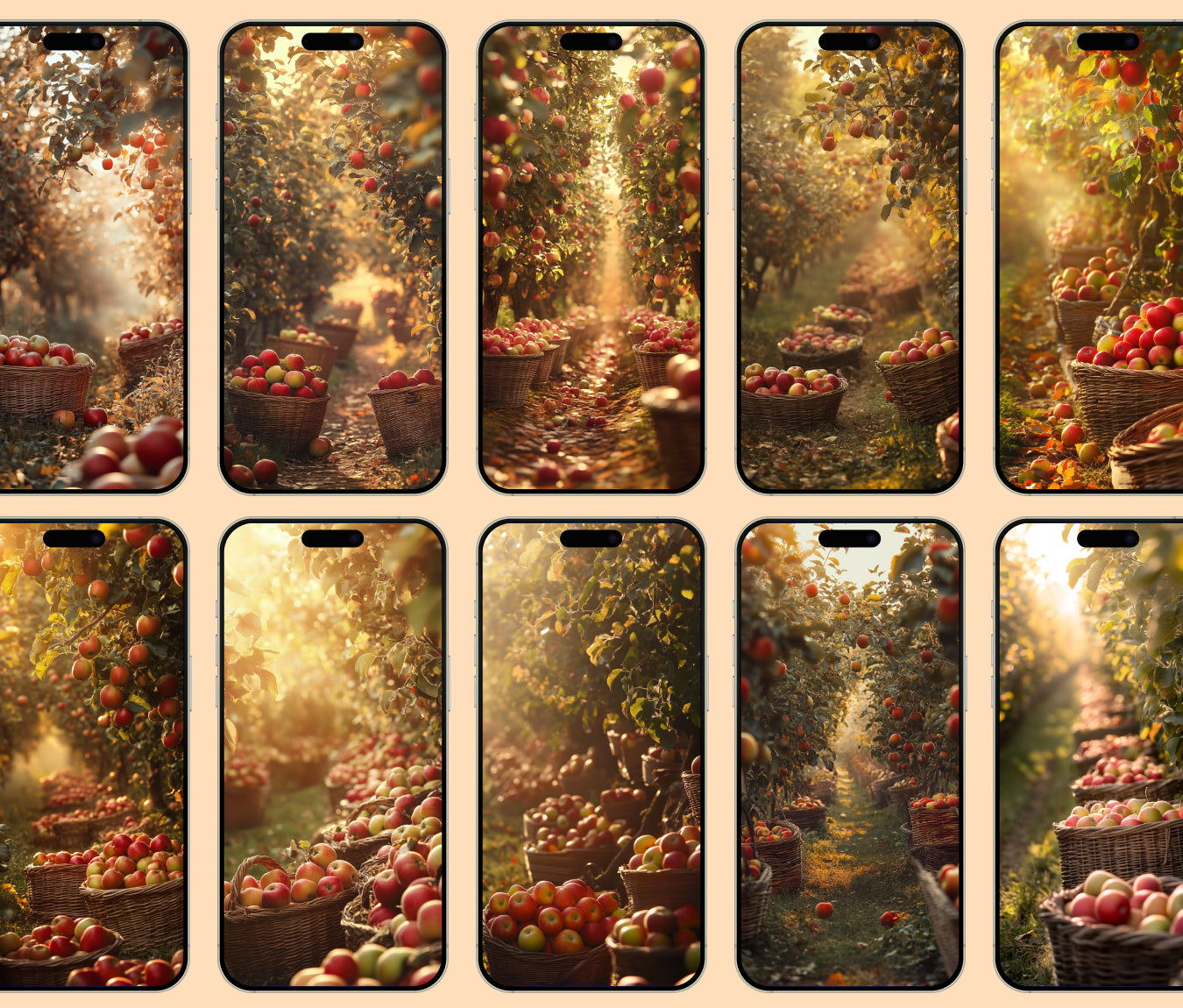 Apple Orchard Harvest Wallpaper – Fall Vibes & Crisp Air for iPhone