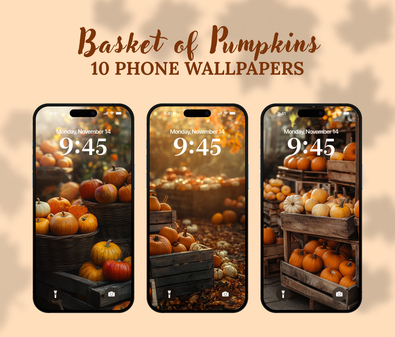 Harvest Bounty Wallpaper – Baskets of Pumpkins & Squash for iPhone